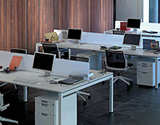 Click to view larger